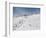 Winter Sports at Feldberg, Black Forest, Baden-Wurttemberg, Germany, Europe-Hans Peter Merten-Framed Photographic Print