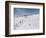 Winter Sports at Feldberg, Black Forest, Baden-Wurttemberg, Germany, Europe-Hans Peter Merten-Framed Photographic Print