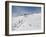 Winter Sports at Feldberg, Black Forest, Baden-Wurttemberg, Germany, Europe-Hans Peter Merten-Framed Photographic Print