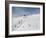 Winter Sports at Feldberg, Black Forest, Baden-Wurttemberg, Germany, Europe-Hans Peter Merten-Framed Photographic Print