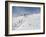 Winter Sports at Feldberg, Black Forest, Baden-Wurttemberg, Germany, Europe-Hans Peter Merten-Framed Photographic Print