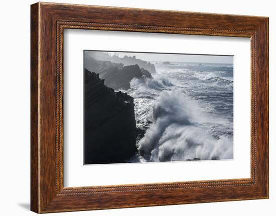 Winter storm watching, Shore Acres State Park, Southern Oregon Coast, USA-Stuart Westmorland-Framed Photographic Print