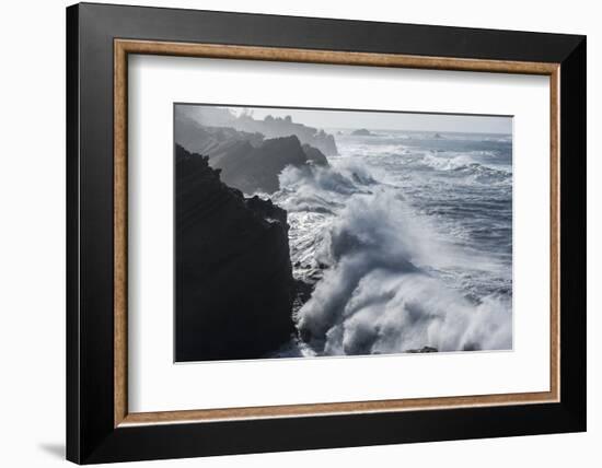 Winter storm watching, Shore Acres State Park, Southern Oregon Coast, USA-Stuart Westmorland-Framed Photographic Print