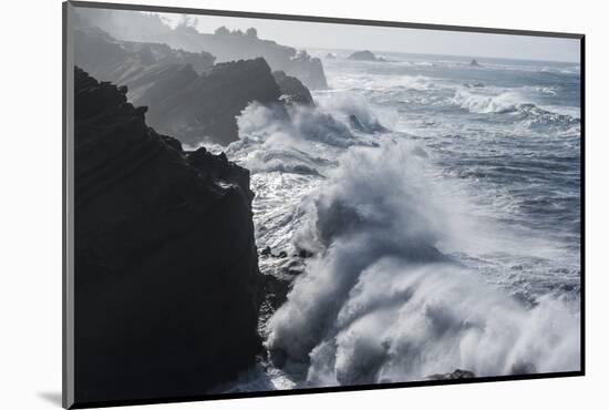 Winter storm watching, Shore Acres State Park, Southern Oregon Coast, USA-Stuart Westmorland-Mounted Photographic Print