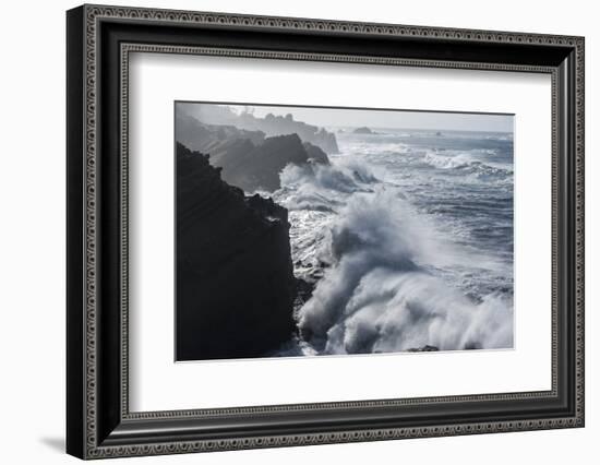 Winter storm watching, Shore Acres State Park, Southern Oregon Coast, USA-Stuart Westmorland-Framed Photographic Print