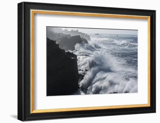 Winter storm watching, Shore Acres State Park, Southern Oregon Coast, USA-Stuart Westmorland-Framed Photographic Print