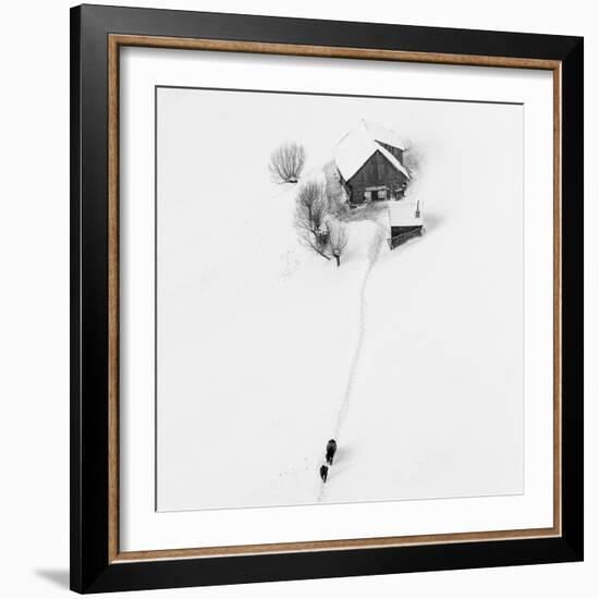 Winter story-Lazar Ioan Ovidiu-Framed Photographic Print