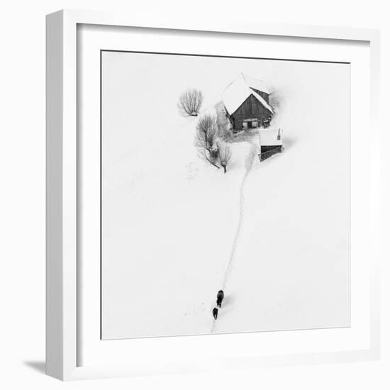 Winter story-Lazar Ioan Ovidiu-Framed Photographic Print