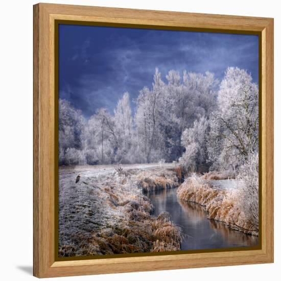 Winter Stream-Philippe Sainte-Laudy-Framed Premier Image Canvas