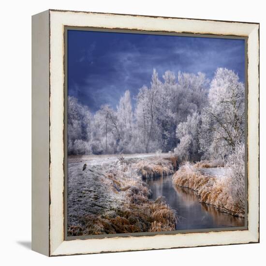 Winter Stream-Philippe Sainte-Laudy-Framed Premier Image Canvas