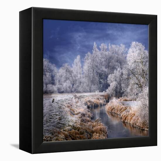 Winter Stream-Philippe Sainte-Laudy-Framed Premier Image Canvas