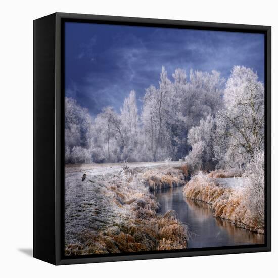 Winter Stream-Philippe Sainte-Laudy-Framed Premier Image Canvas