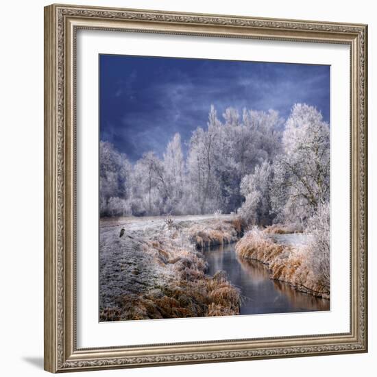 Winter Stream-Philippe Sainte-Laudy-Framed Photographic Print