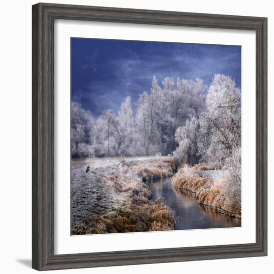 Winter Stream-Philippe Sainte-Laudy-Framed Photographic Print