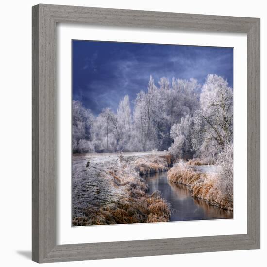 Winter Stream-Philippe Sainte-Laudy-Framed Photographic Print