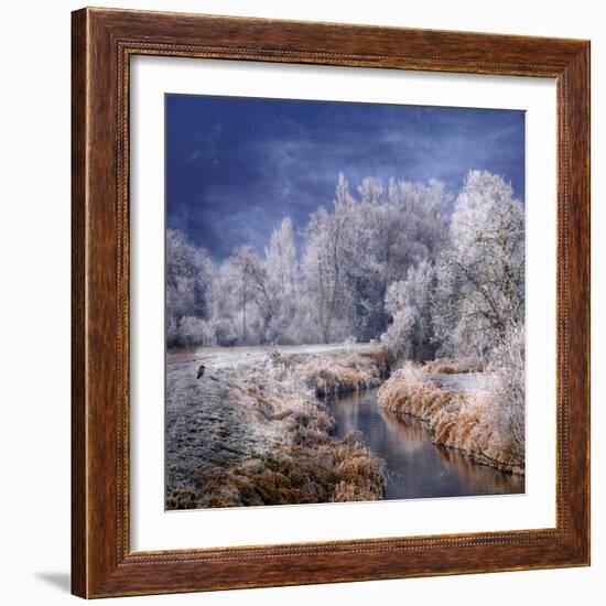 Winter Stream-Philippe Sainte-Laudy-Framed Photographic Print