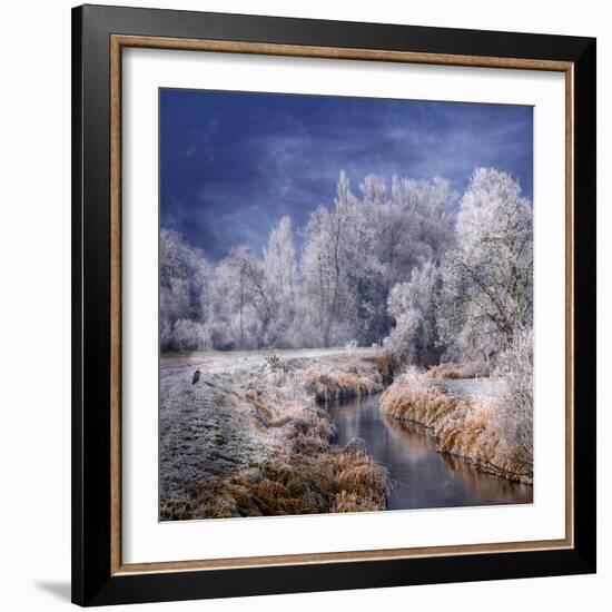 Winter Stream-Philippe Sainte-Laudy-Framed Photographic Print