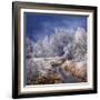 Winter Stream-Philippe Sainte-Laudy-Framed Photographic Print