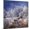 Winter Stream-Philippe Sainte-Laudy-Mounted Photographic Print