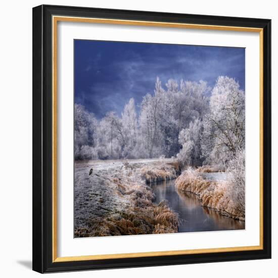 Winter Stream-Philippe Sainte-Laudy-Framed Photographic Print