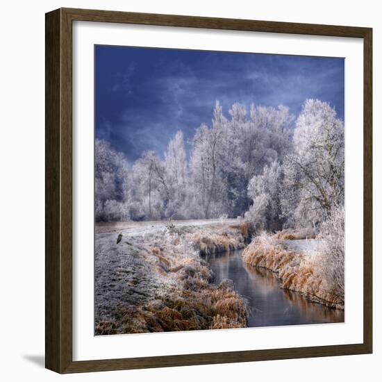 Winter Stream-Philippe Sainte-Laudy-Framed Photographic Print