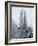 Winter Suburb-Charles Bowman-Framed Photographic Print