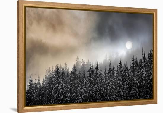 Winter Sun-Ursula Abresch-Framed Premier Image Canvas