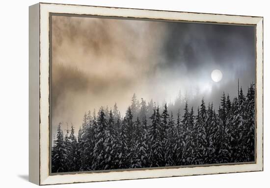Winter Sun-Ursula Abresch-Framed Premier Image Canvas