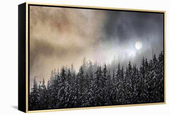 Winter Sun-Ursula Abresch-Framed Premier Image Canvas