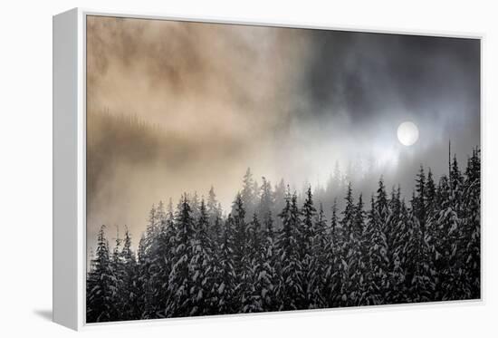 Winter Sun-Ursula Abresch-Framed Premier Image Canvas