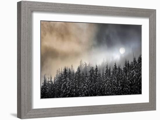 Winter Sun-Ursula Abresch-Framed Photographic Print