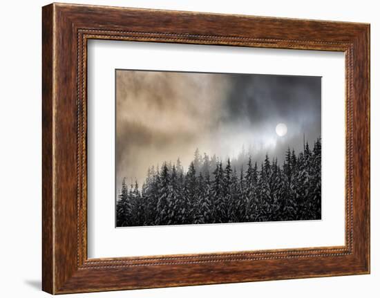 Winter Sun-Ursula Abresch-Framed Photographic Print