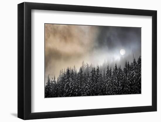 Winter Sun-Ursula Abresch-Framed Photographic Print