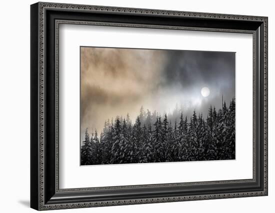 Winter Sun-Ursula Abresch-Framed Photographic Print