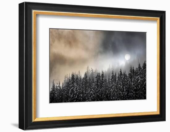 Winter Sun-Ursula Abresch-Framed Photographic Print