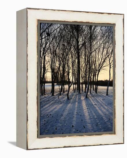 Winter Sunrise and Snow Covered Rural Landscape in the Countryside, Arrow Valley, Worcestershire, E-David Hughes-Framed Premier Image Canvas