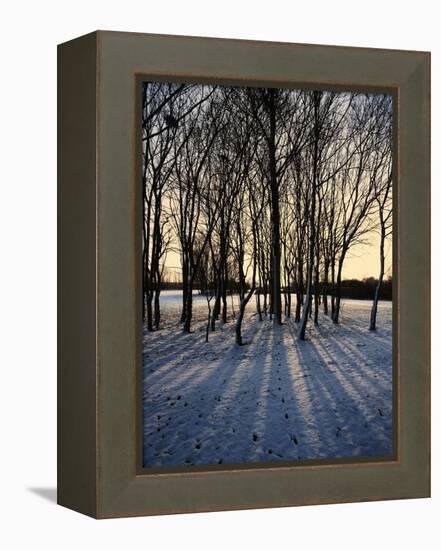 Winter Sunrise and Snow Covered Rural Landscape in the Countryside, Arrow Valley, Worcestershire, E-David Hughes-Framed Premier Image Canvas