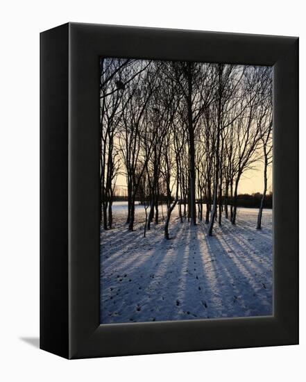 Winter Sunrise and Snow Covered Rural Landscape in the Countryside, Arrow Valley, Worcestershire, E-David Hughes-Framed Premier Image Canvas