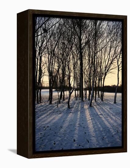 Winter Sunrise and Snow Covered Rural Landscape in the Countryside, Arrow Valley, Worcestershire, E-David Hughes-Framed Premier Image Canvas