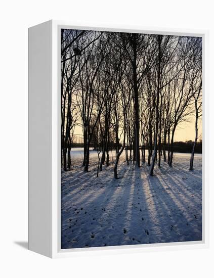 Winter Sunrise and Snow Covered Rural Landscape in the Countryside, Arrow Valley, Worcestershire, E-David Hughes-Framed Premier Image Canvas