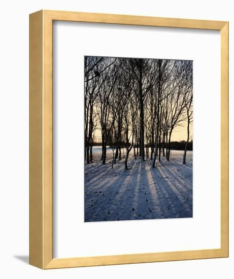 Winter Sunrise and Snow Covered Rural Landscape in the Countryside, Arrow Valley, Worcestershire, E-David Hughes-Framed Photographic Print