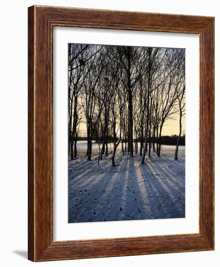 Winter Sunrise and Snow Covered Rural Landscape in the Countryside, Arrow Valley, Worcestershire, E-David Hughes-Framed Photographic Print