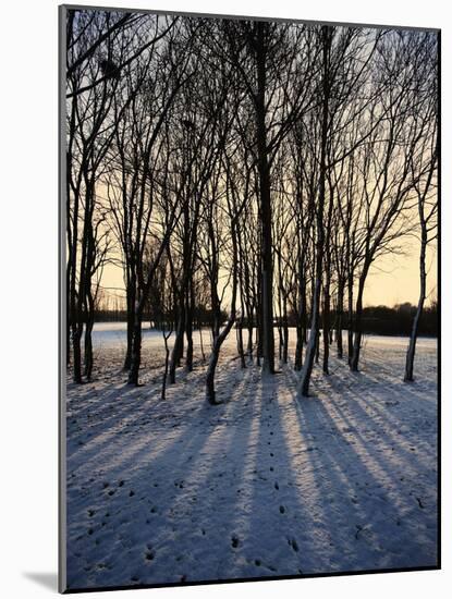 Winter Sunrise and Snow Covered Rural Landscape in the Countryside, Arrow Valley, Worcestershire, E-David Hughes-Mounted Photographic Print
