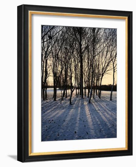 Winter Sunrise and Snow Covered Rural Landscape in the Countryside, Arrow Valley, Worcestershire, E-David Hughes-Framed Photographic Print