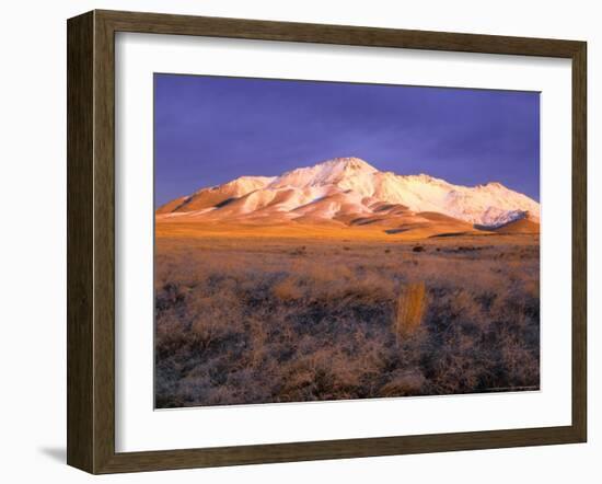 Winter Sunrise on Bloody Run Peak, Great Basin, Nevada, USA-Scott T. Smith-Framed Photographic Print