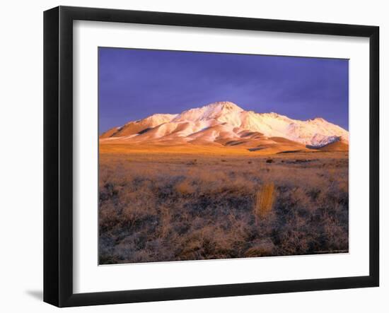 Winter Sunrise on Bloody Run Peak, Great Basin, Nevada, USA-Scott T. Smith-Framed Photographic Print