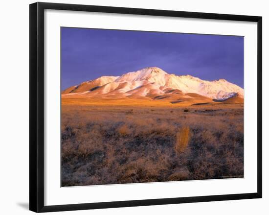 Winter Sunrise on Bloody Run Peak, Great Basin, Nevada, USA-Scott T. Smith-Framed Photographic Print