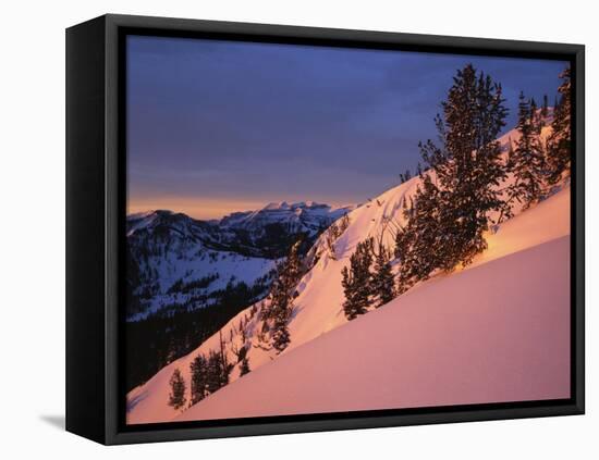 Winter Sunrise, Uinta-Wasatch-Cache National Forest, Utah, USA-Charles Gurche-Framed Premier Image Canvas