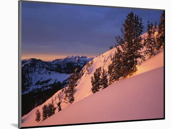 Winter Sunrise, Uinta-Wasatch-Cache National Forest, Utah, USA-Charles Gurche-Mounted Photographic Print