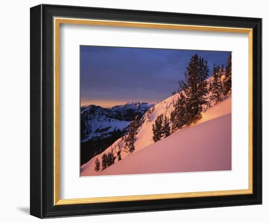 Winter Sunrise, Uinta-Wasatch-Cache National Forest, Utah, USA-Charles Gurche-Framed Photographic Print